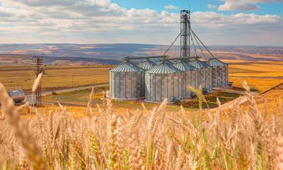 Here's What to Expect From Bunge Global’s Next Earnings Report